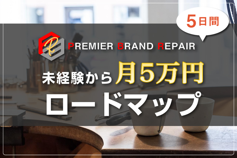 保証書付】 【ブランドリペアセット】革修復 衣類汚れ落とし メッキ